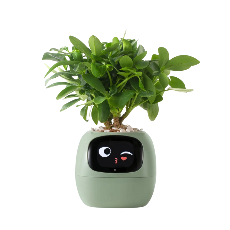 Tuya Ivy Smart Planter