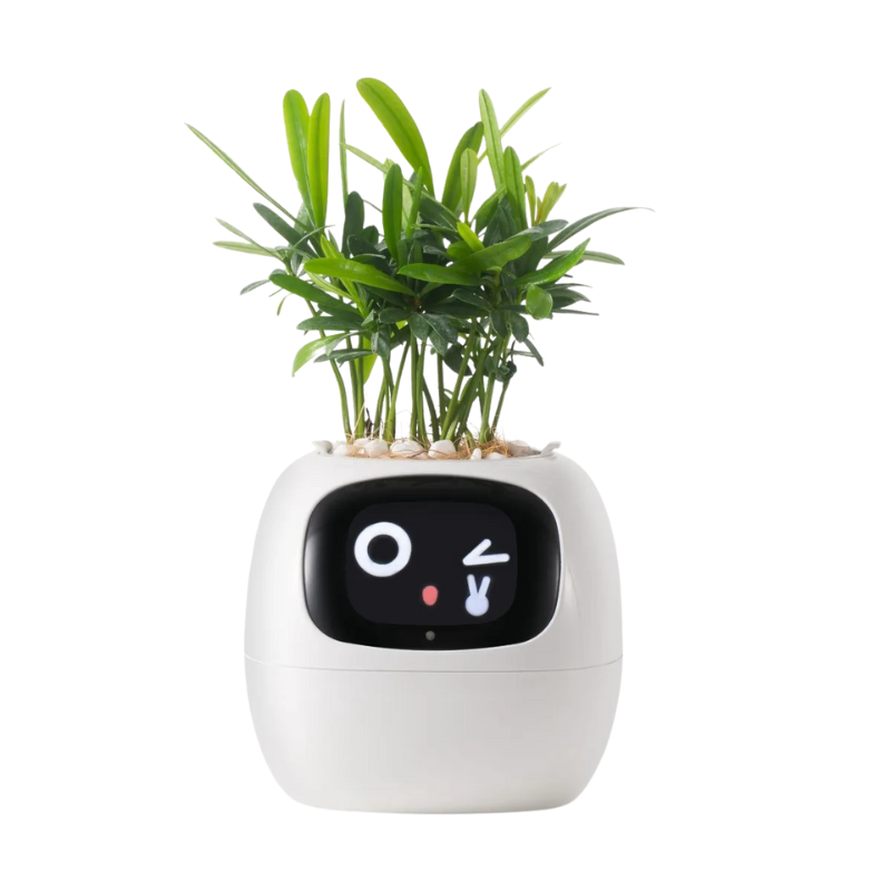 Tuya Ivy Smart Planter