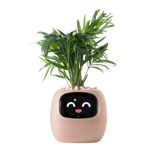 Tuya Ivy Smart Planter