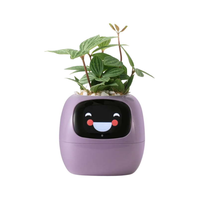 Tuya Ivy Smart Planter