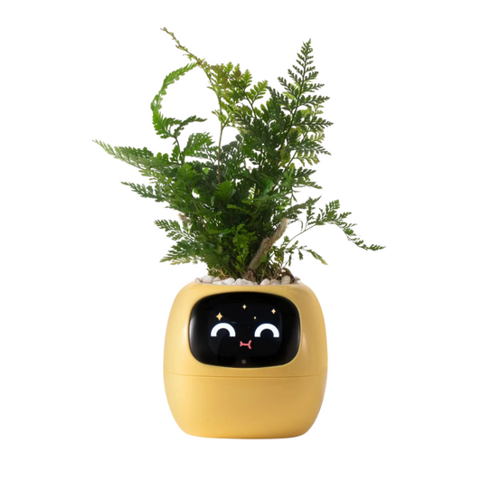 Tuya Ivy Smart Planter